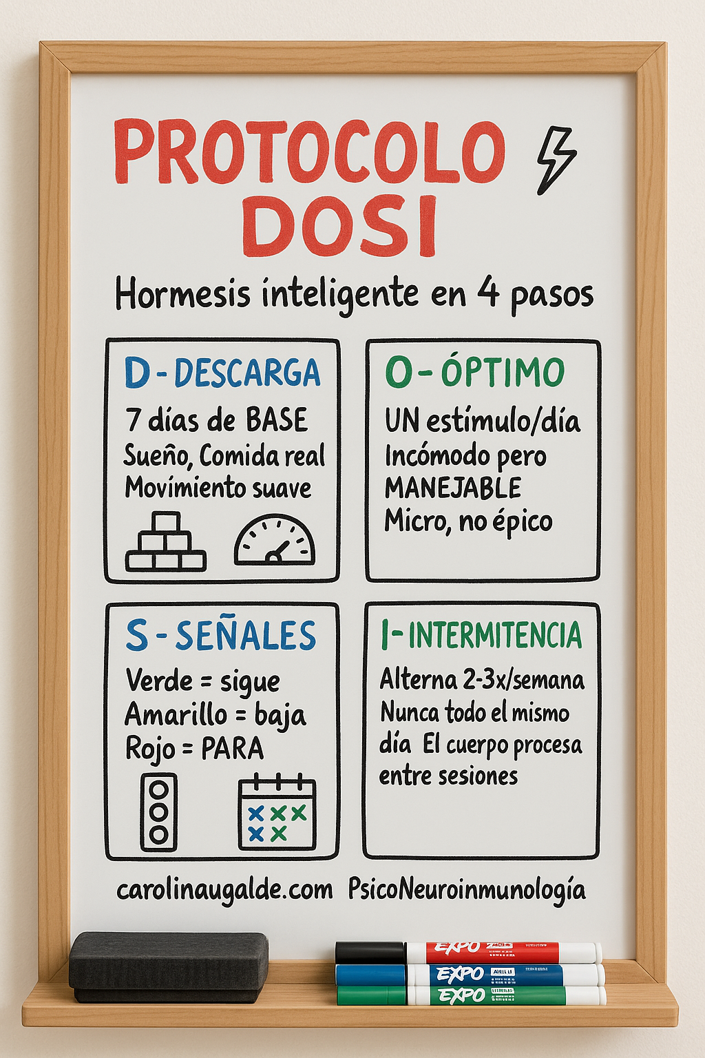 Protocolo DOSI — sketchnote Carolina Ugalde