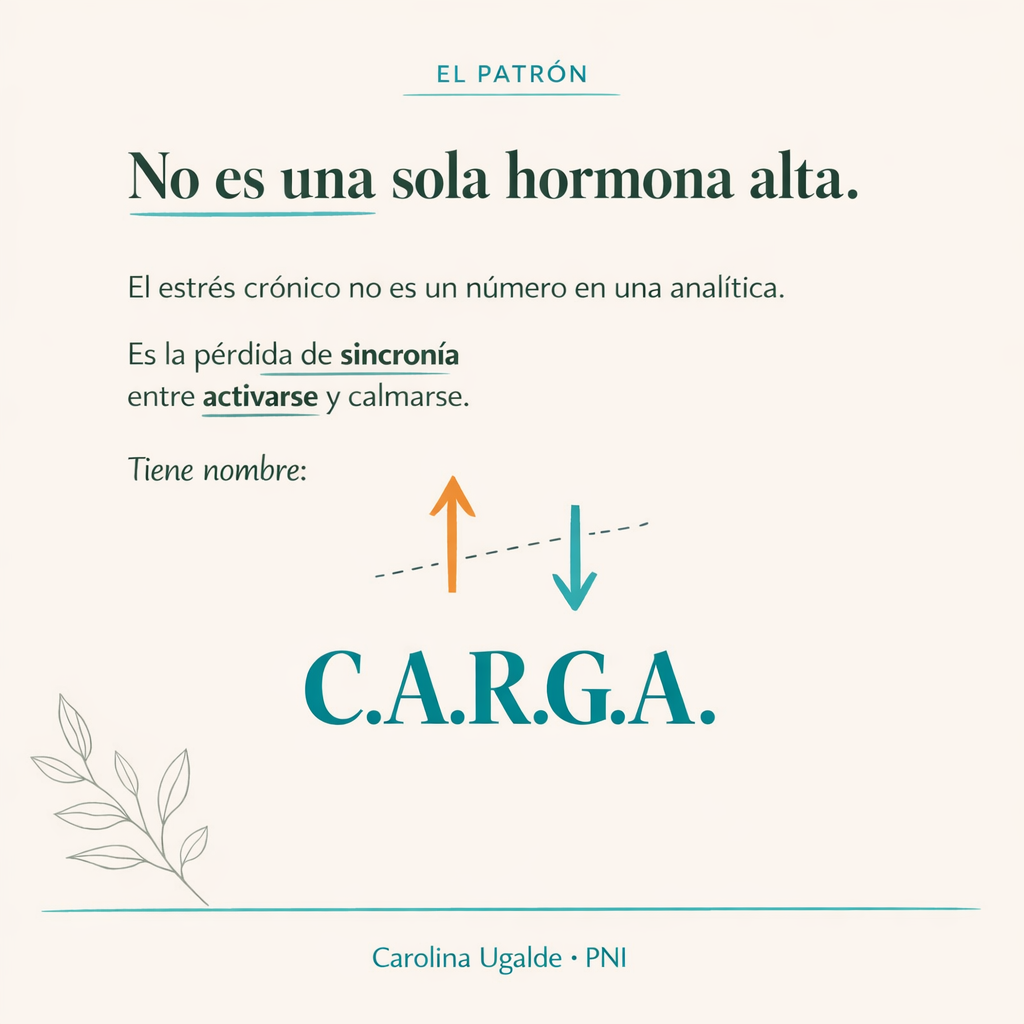 El estrés crónico no es una sola hormona alta — modelo C.A.R.G.A.