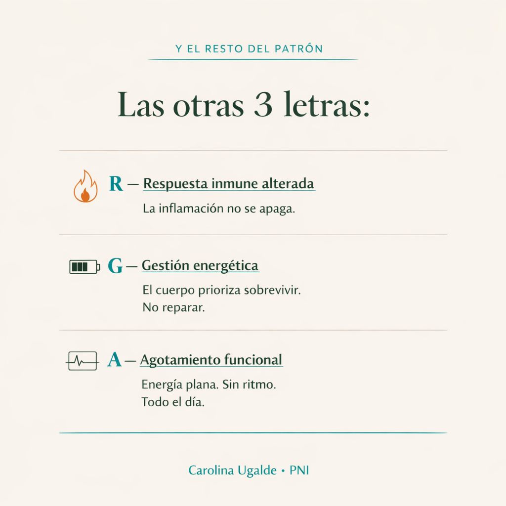 Las otras 3 letras del patrón: R, G y A