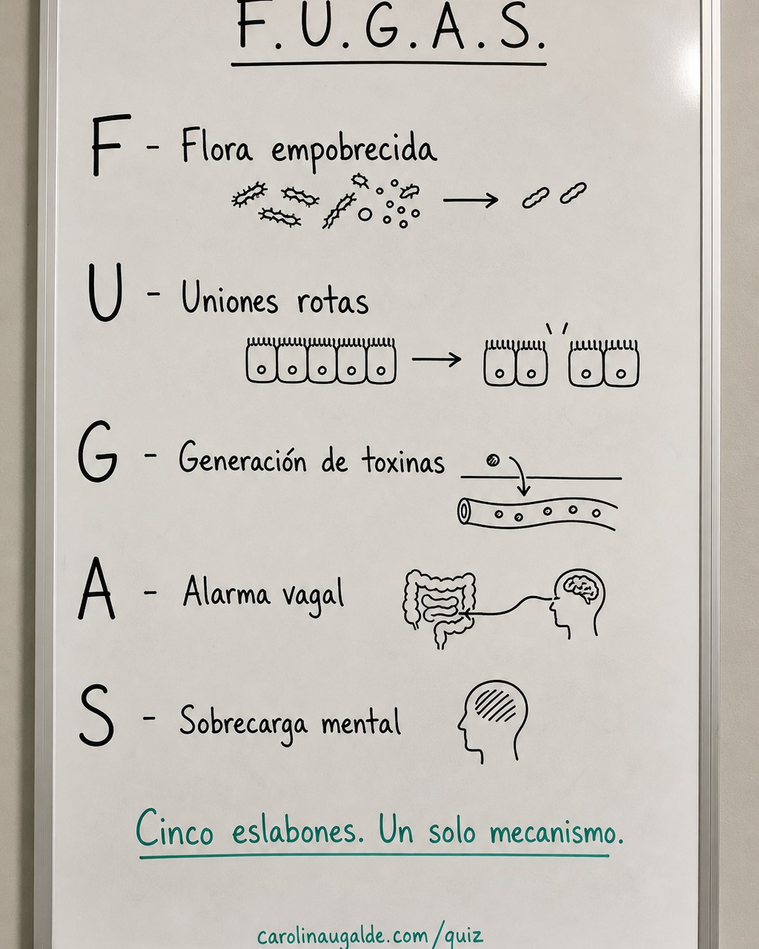 F.U.G.A.S. — flora empobrecida, uniones rotas, generación de toxinas, alarma vagal, sobrecarga mental