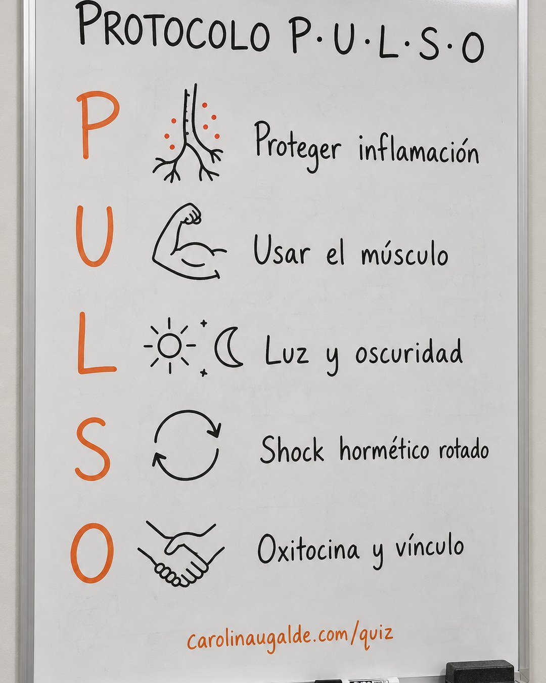 El protocolo P.U.L.S.O. — los 5 pasos en el orden exacto en que tu cuerpo puede recibirlos